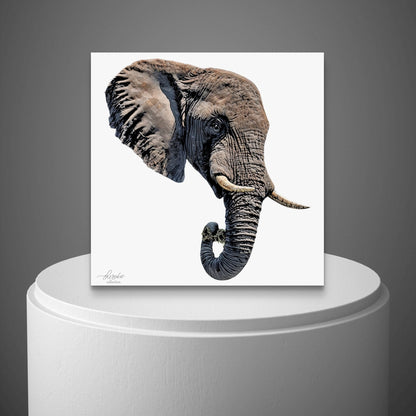 Elephant Satin Stretched Canvas Print II - HD Printing
