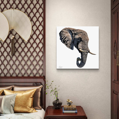 Elephant Satin Stretched Canvas Print II - HD Printing