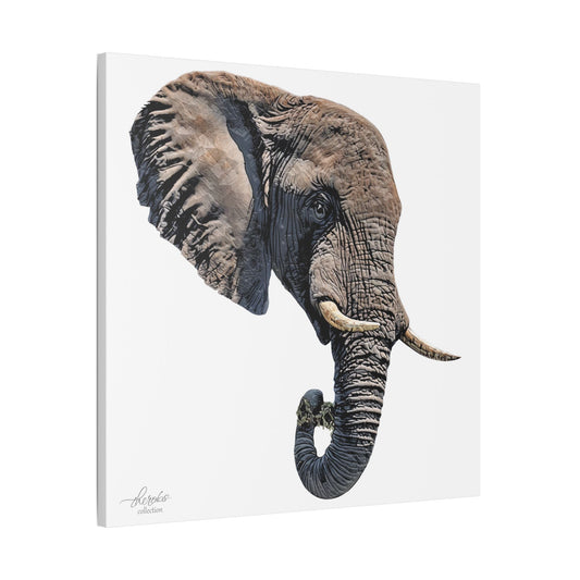 Elephant Satin Stretched Canvas Print II - HD Printing