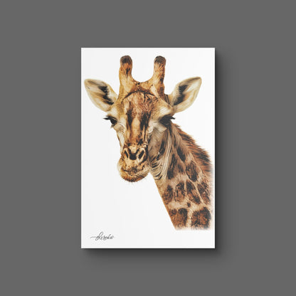 Giraffe Fine Art Giclée Matte Poster II - HD Printing