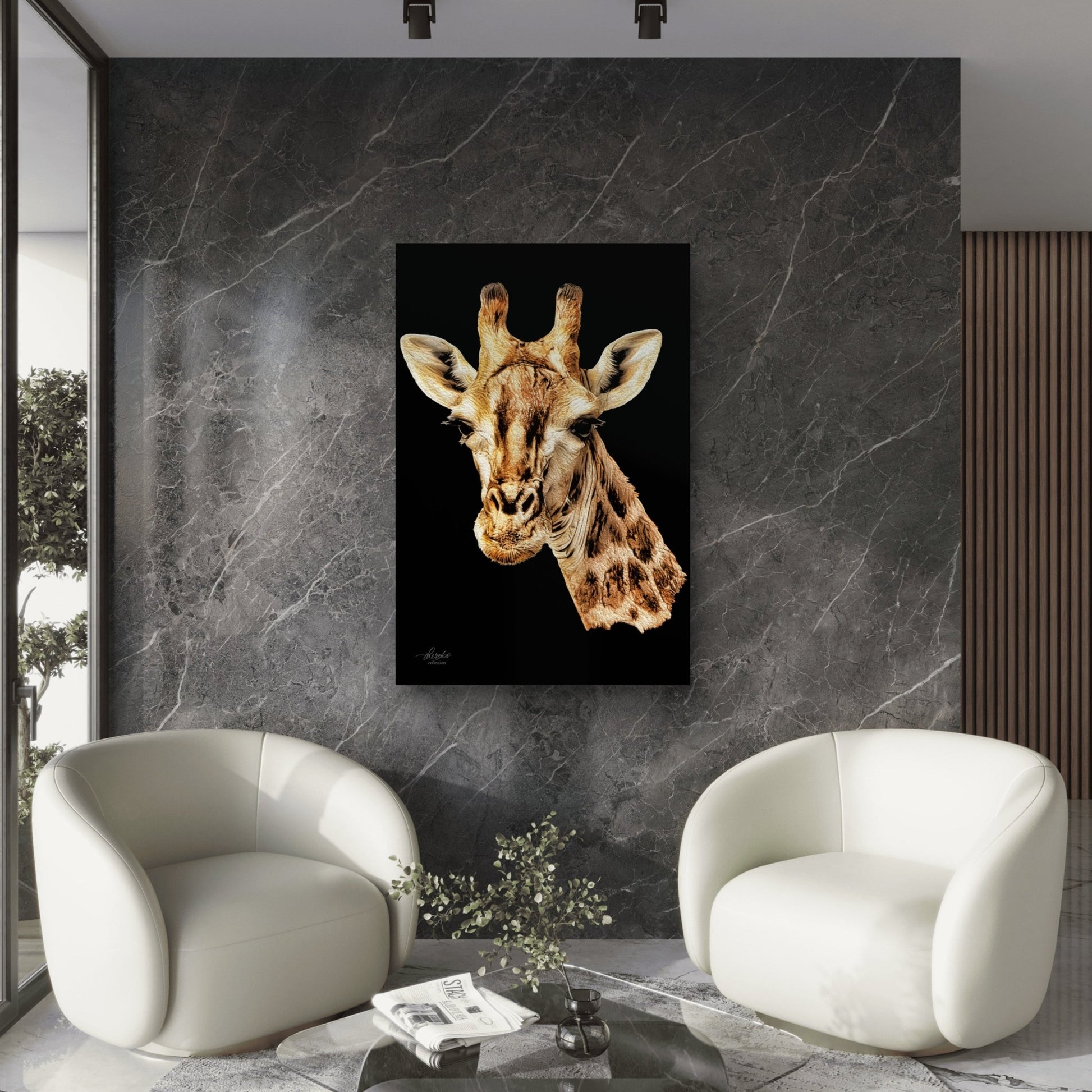 Giraffe Indoor & Outdoor HD Black Silk Poster - HD Printing