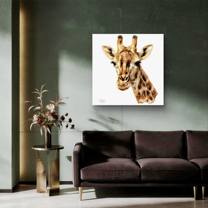 Giraffe Indoor & Outdoor HD Silk Poster - HD Printing