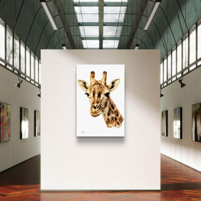 Giraffe Indoor & Outdoor HD Silk Poster - HD Printing