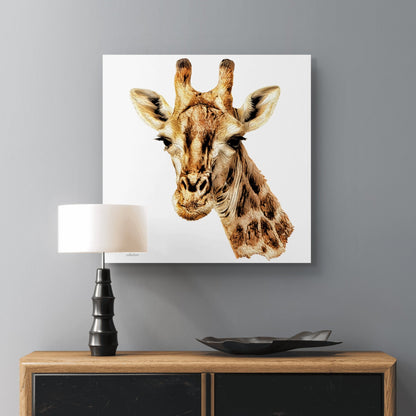 Giraffe Indoor & Outdoor HD Silk Poster - HD Printing