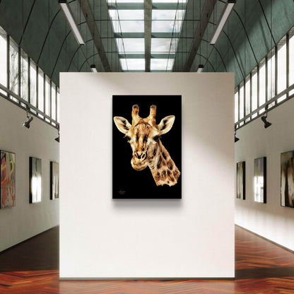 Giraffe Satin Stretched Black Canvas Print - HD Printing