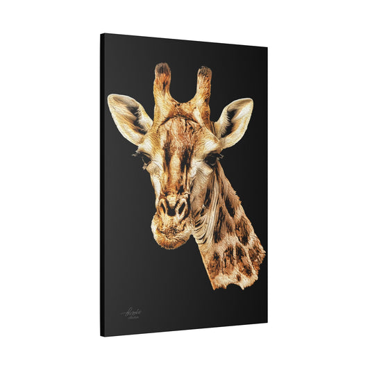 Giraffe Satin Stretched Black Canvas Print - HD Printing