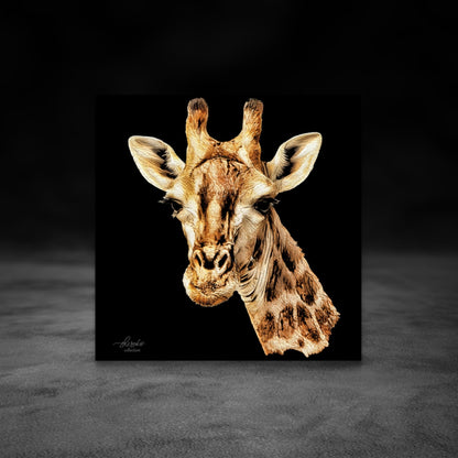 Giraffe Satin Stretched Black Canvas Print - HD Printing