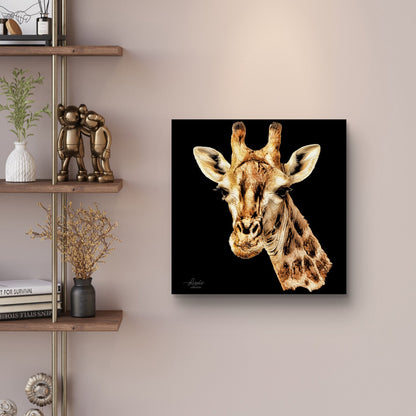 Giraffe Satin Stretched Black Canvas Print - HD Printing