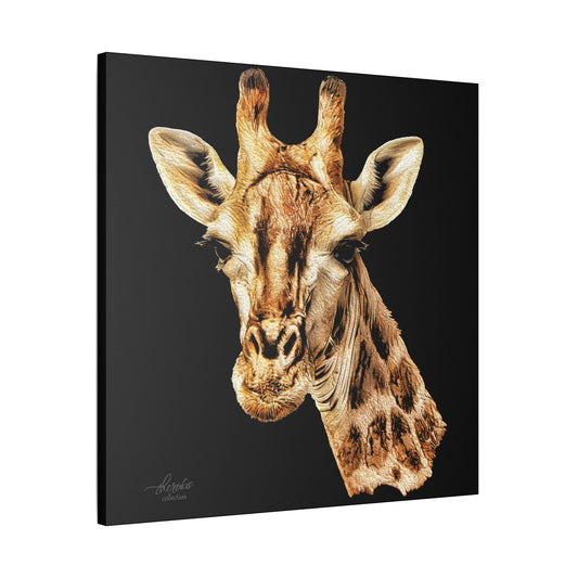 Giraffe Satin Stretched Black Canvas Print - HD Printing