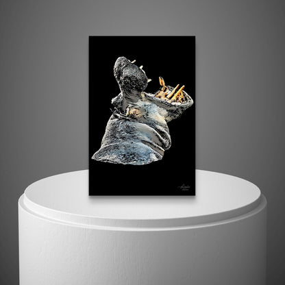 Hippo Satin Stretched Black Canvas Print - HD Printing