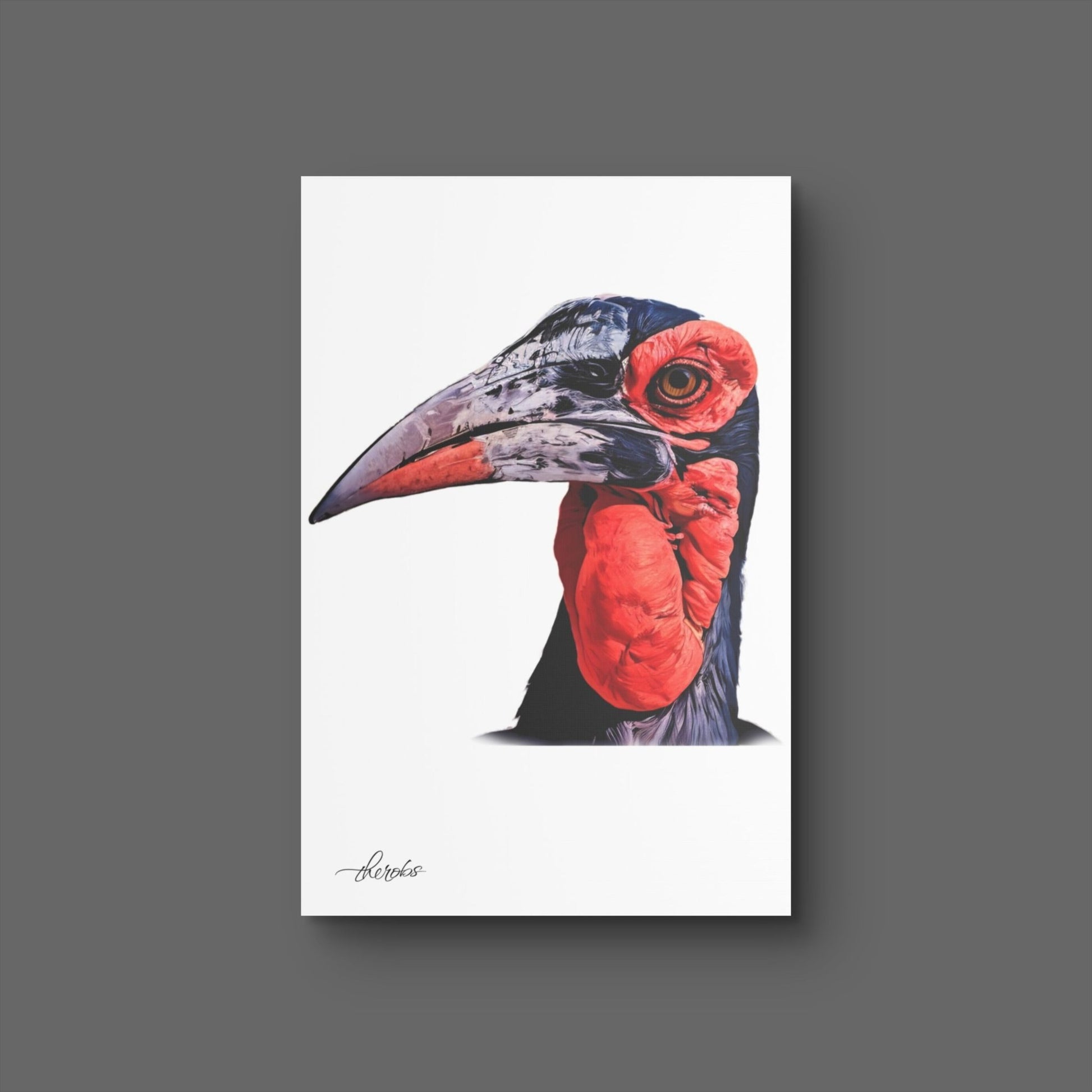Hornbill Canvas Print - HD Printing