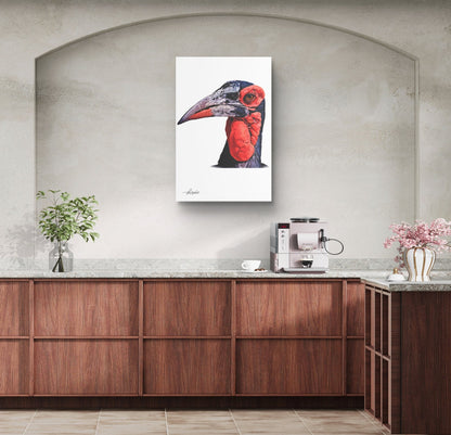 Hornbill Canvas Print - HD Printing