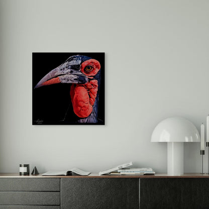 Hornbill Fine Art Giclée Matte Black Poster - HD Printing