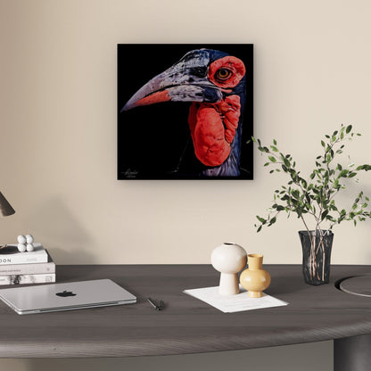 Hornbill Fine Art Giclée Matte Black Poster - HD Printing