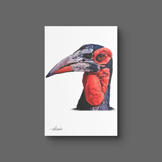Hornbill Fine Art Poster - HD Printing