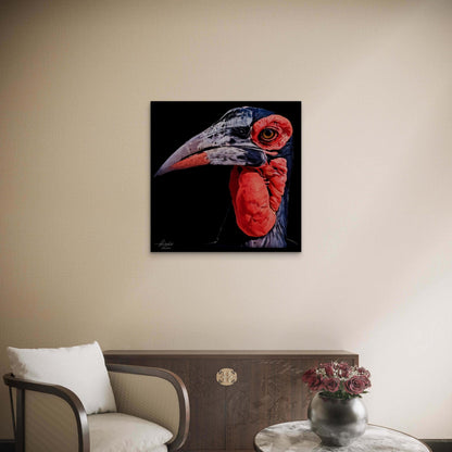 Hornbill Satin Stretched Black Canvas Print - HD Printing