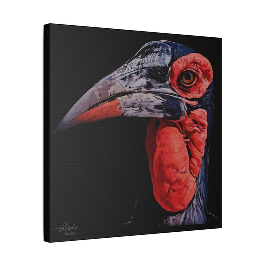 Hornbill Satin Stretched Black Canvas Print - HD Printing