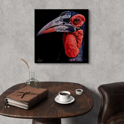 Hornbill Satin Stretched Black Canvas Print - HD Printing