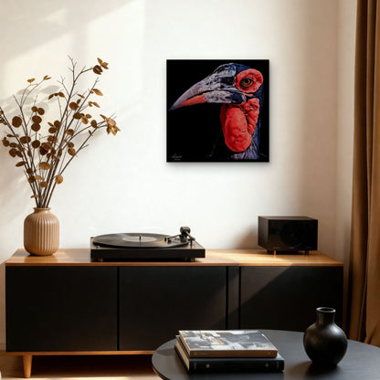 Hornbill Satin Stretched Black Canvas Print - HD Printing