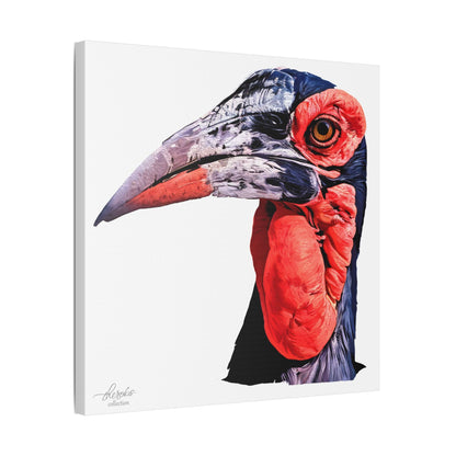 Hornbill Satin Stretched Canvas Print - HD Printing