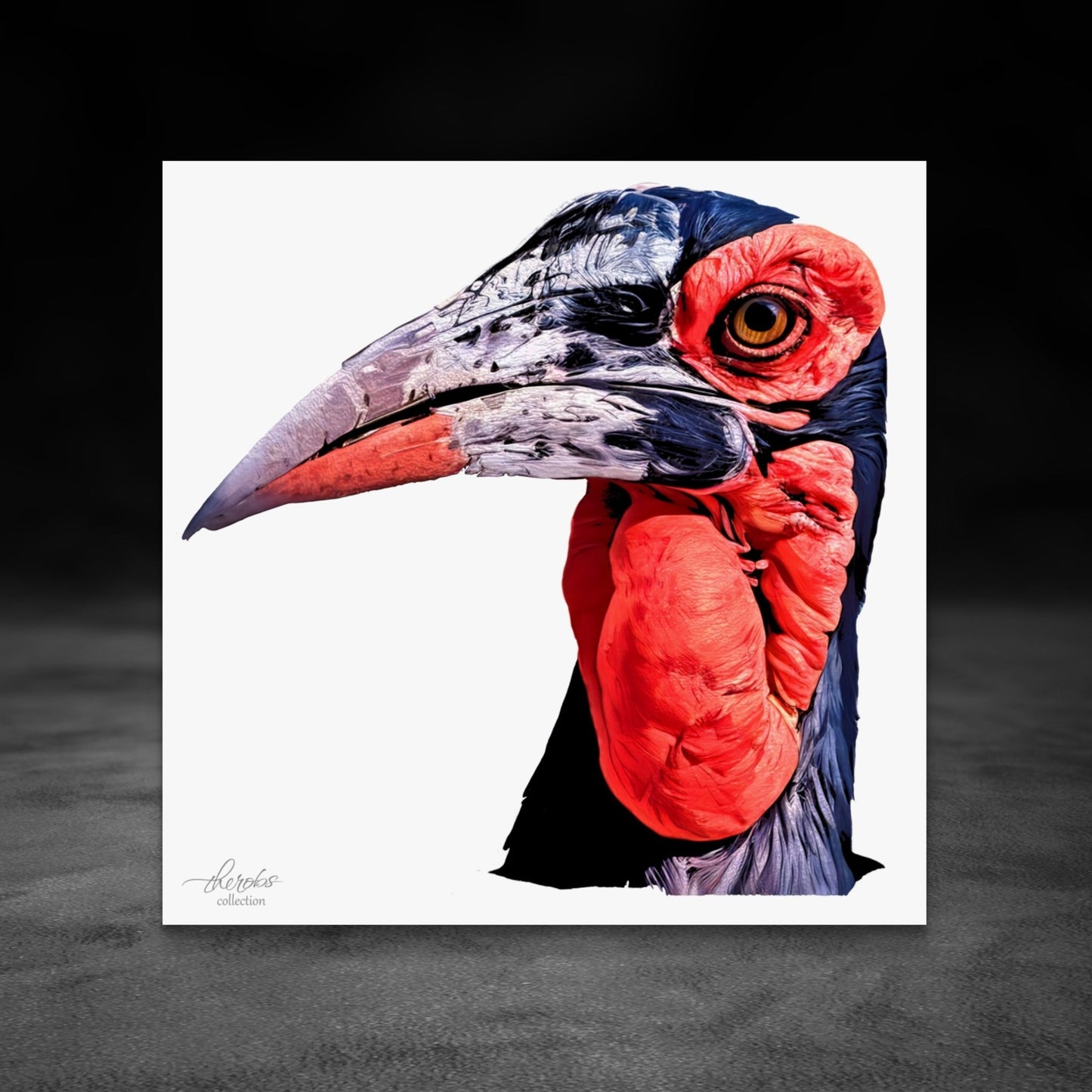 Hornbill Satin Stretched Canvas Print - HD Printing