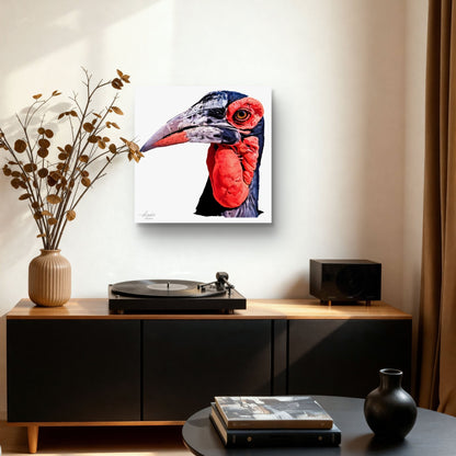 Hornbill Satin Stretched Canvas Print - HD Printing
