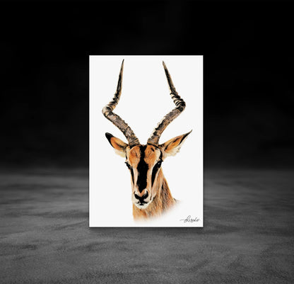 Impala Canvas Print - HD Printing