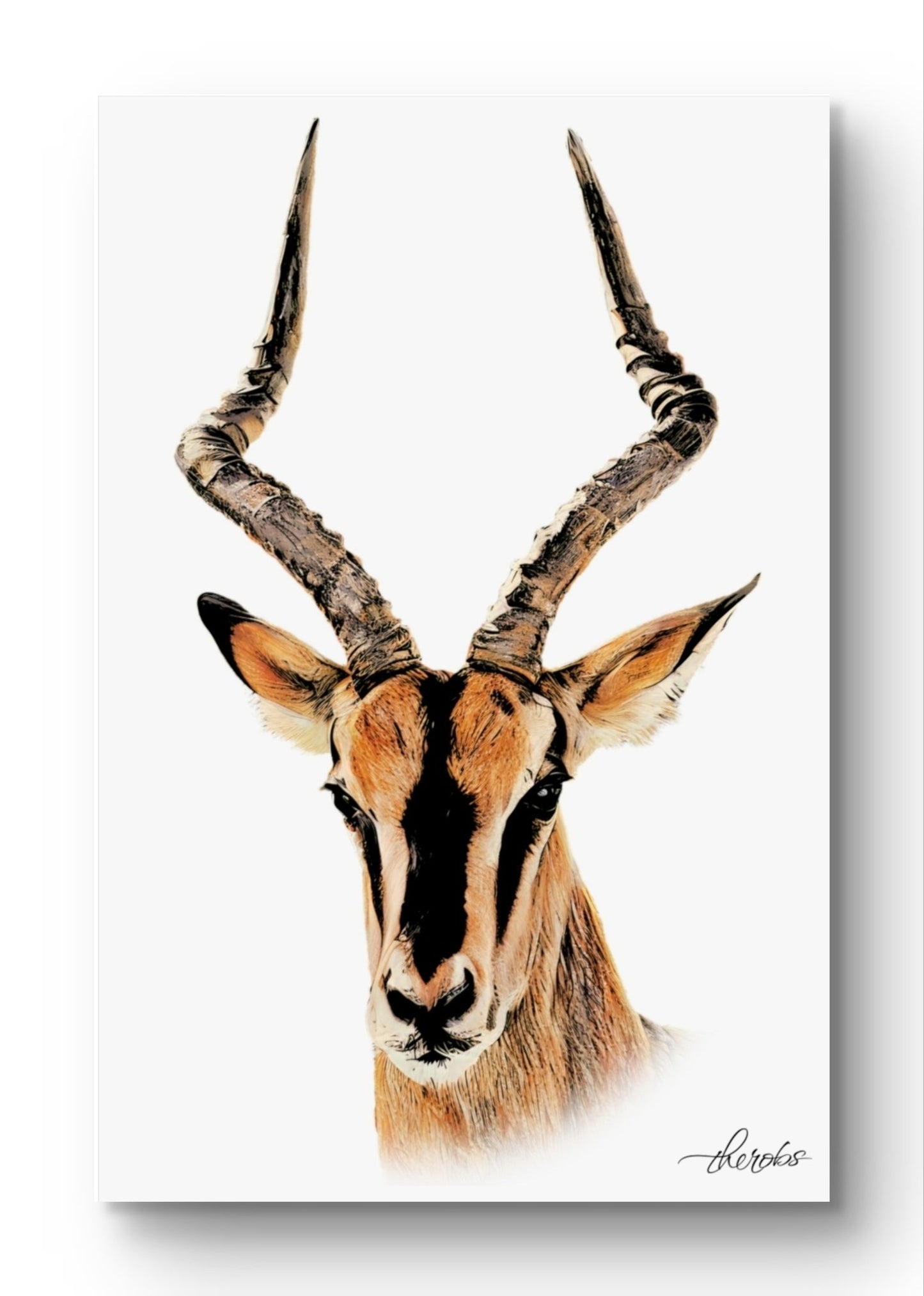 Impala Canvas Print - HD Printing