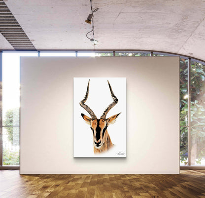 Impala Canvas Print - HD Printing