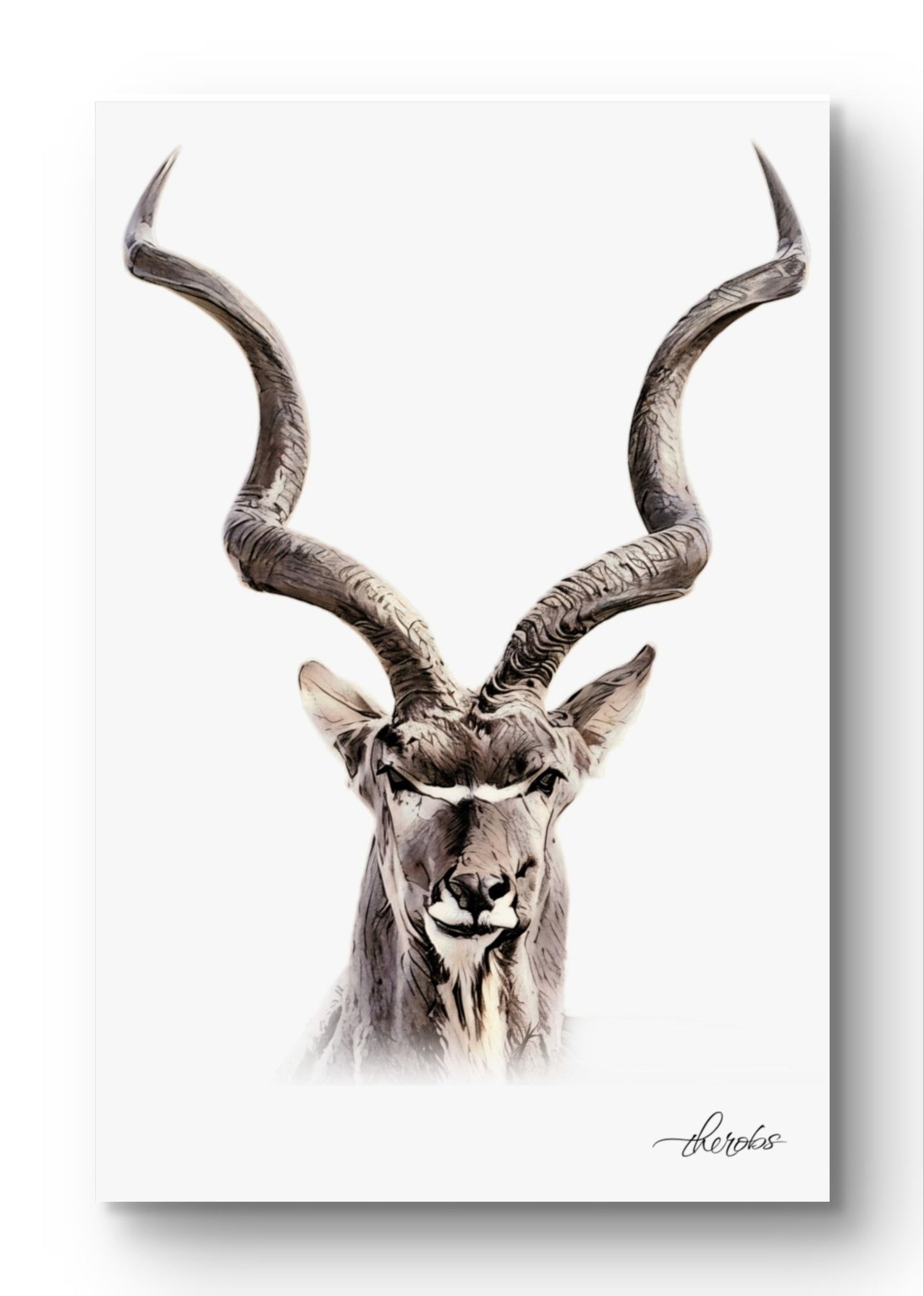Kudu Canvas Print - HD Printing