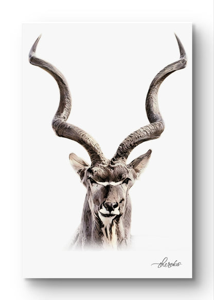 Kudu Canvas Print - HD Printing