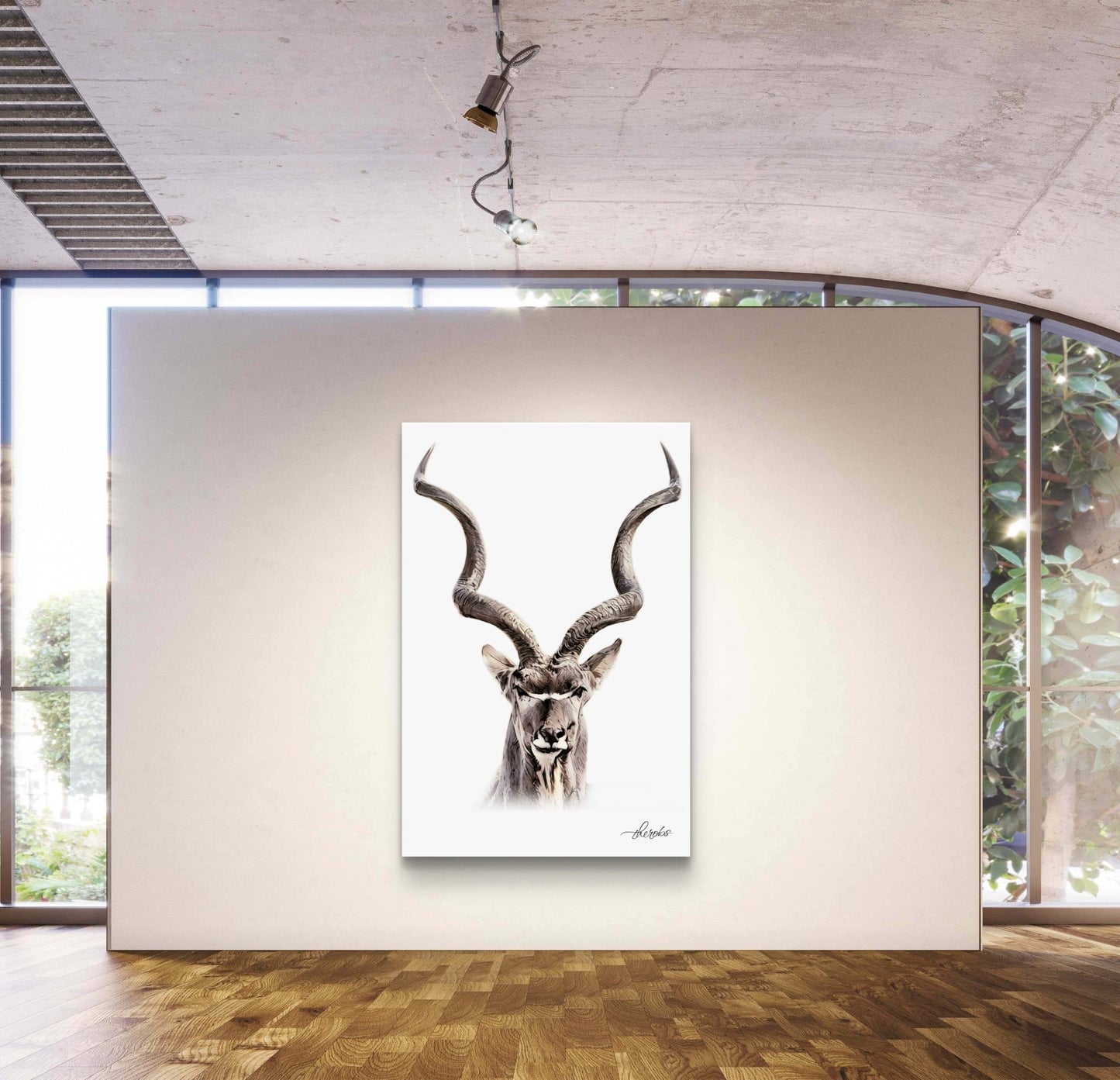 Kudu Canvas Print - HD Printing
