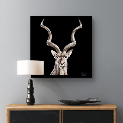 Kudu Fine Art Giclée Matte Black Poster - HD Printing