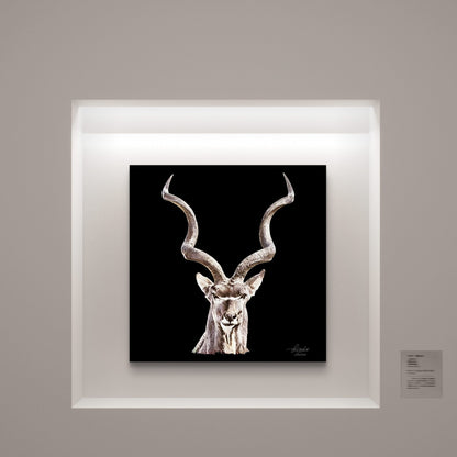 Kudu Fine Art Giclée Matte Black Poster - HD Printing