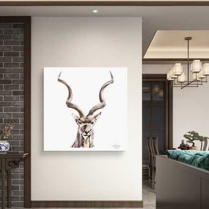 Kudu Fine Art Giclée Matte Poster - HD Printing