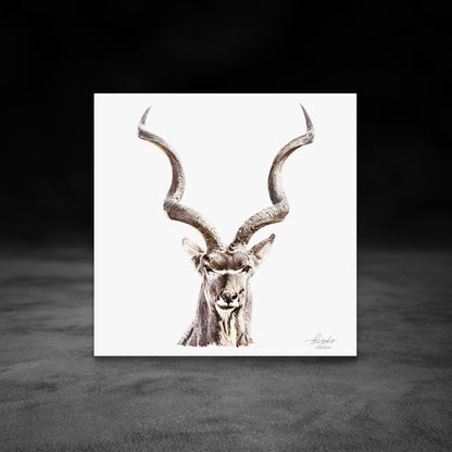 Kudu Fine Art Giclée Matte Poster - HD Printing