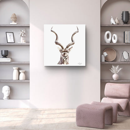 Kudu Fine Art Giclée Matte Poster - HD Printing