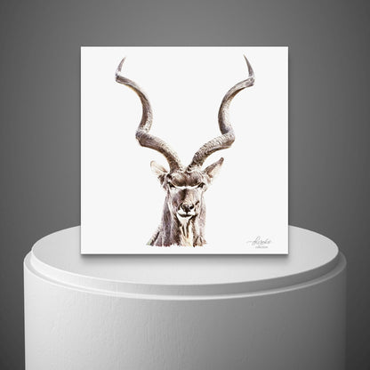 Kudu Fine Art Giclée Matte Poster - HD Printing
