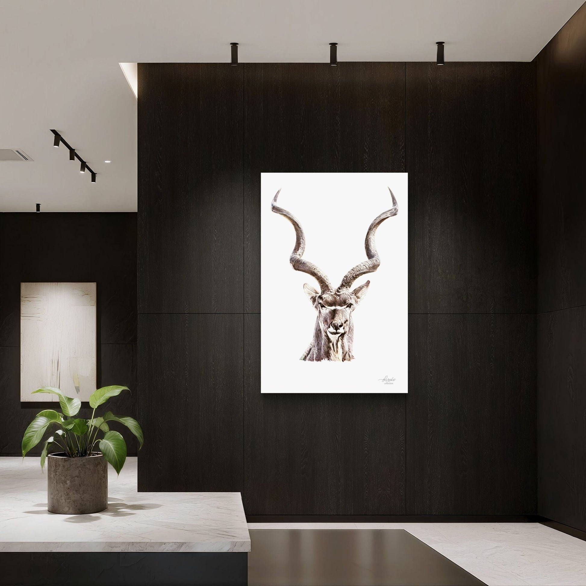 Kudu Fine Art Giclée Matte Poster - HD Printing