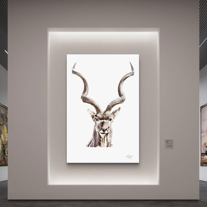 Kudu Fine Art Giclée Matte Poster - HD Printing