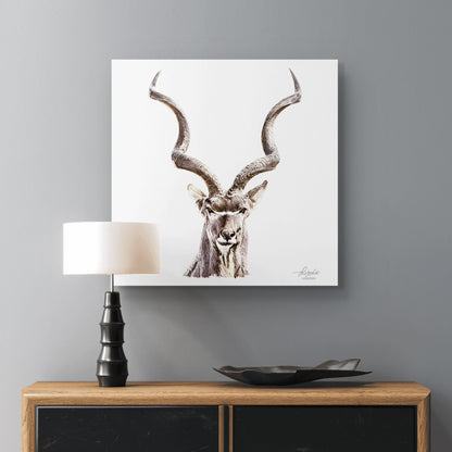 Kudu Fine Art Giclée Matte Poster - HD Printing