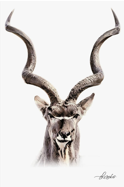 Kudu Fine Art Poster - HD Printing