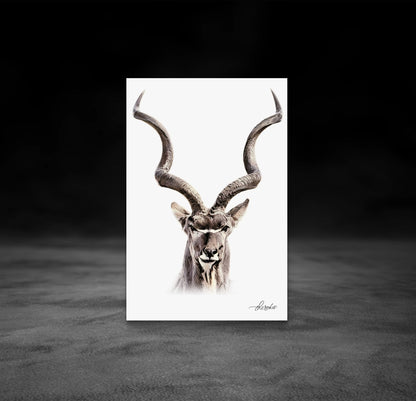Kudu Fine Art Poster - HD Printing