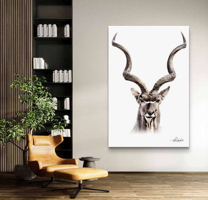 Kudu Fine Art Poster - HD Printing