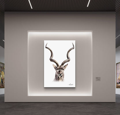 Kudu Fine Art Poster - HD Printing