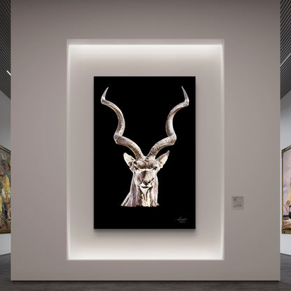 Kudu Indoor & Outdoor HD Black Silk Poster - HD Printing