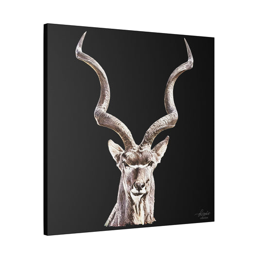 Kudu Satin Stretched Black Canvas Print - HD Printing