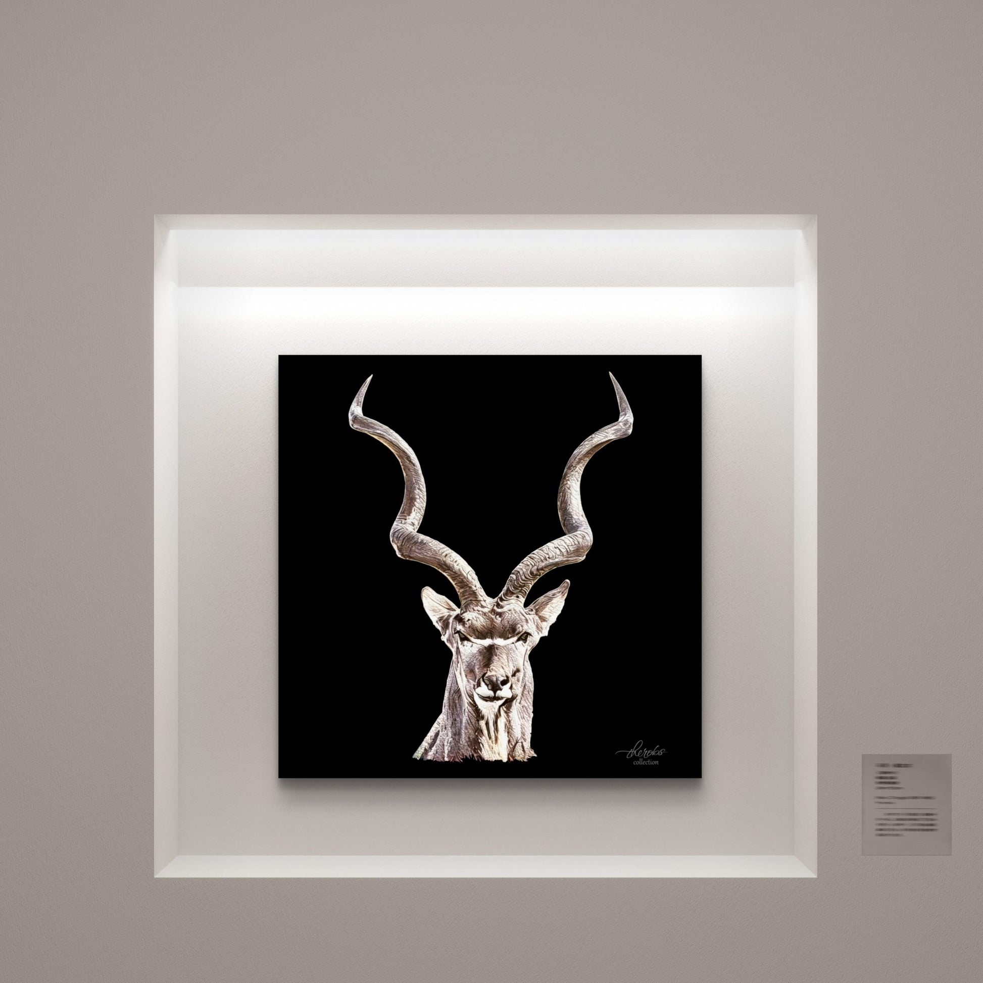 Kudu Satin Stretched Black Canvas Print - HD Printing