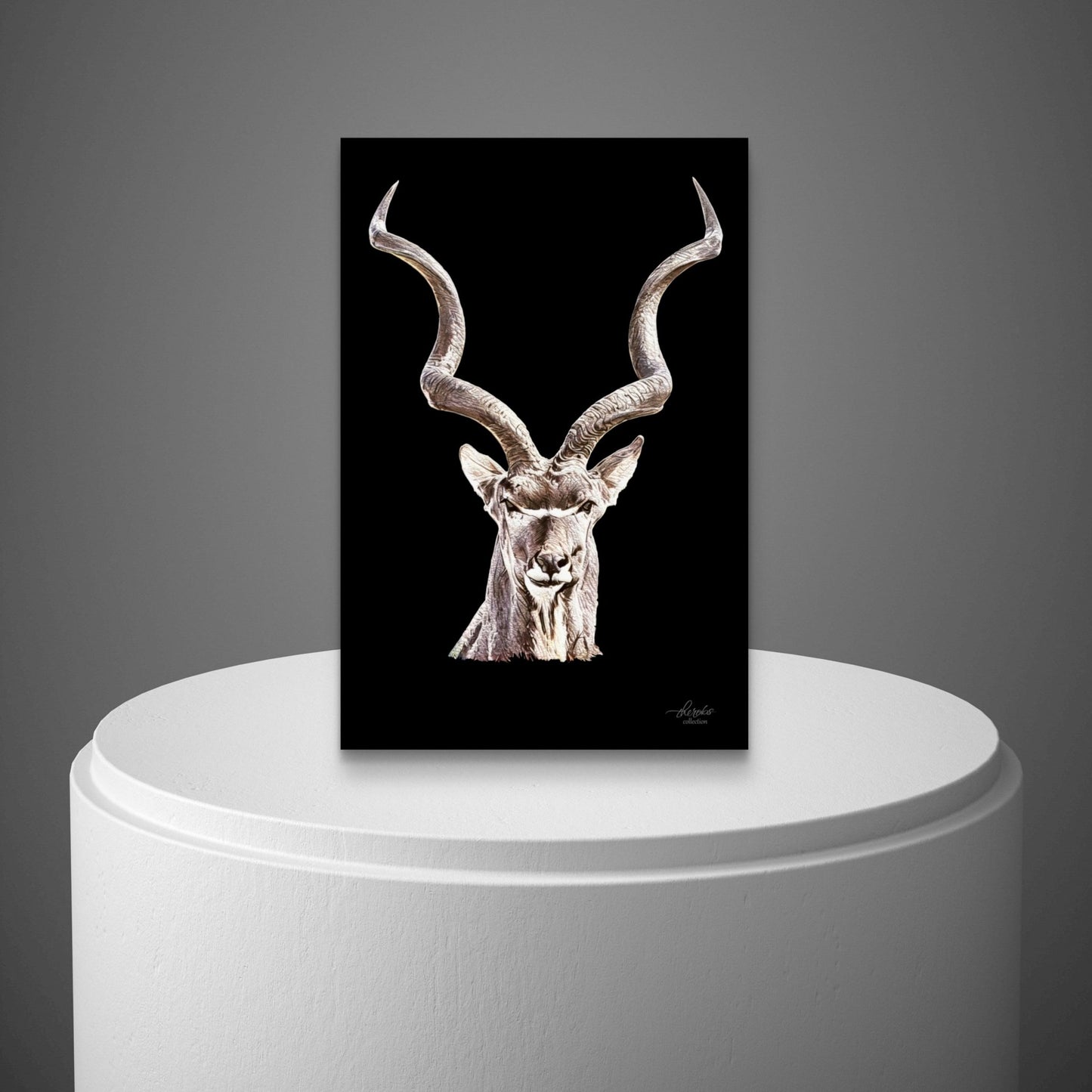 Kudu Satin Stretched Black Canvas Print - HD Printing