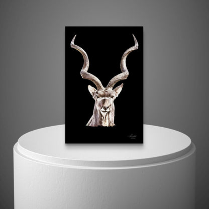 Kudu Satin Stretched Black Canvas Print - HD Printing